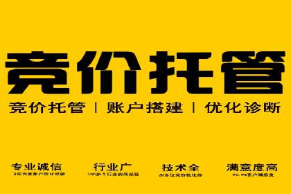 竞价开户的技巧与策略：企业必看案例分析